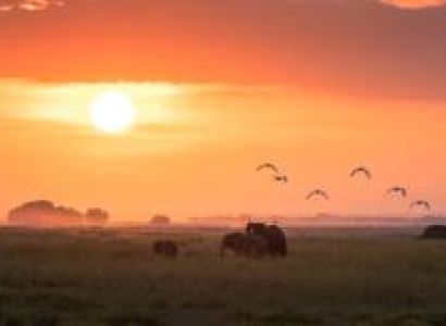 8-Day Safari & Beach Experience