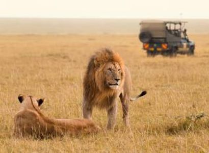 5-Day Explore Masai Mara, Nakuru & Naivasha Private