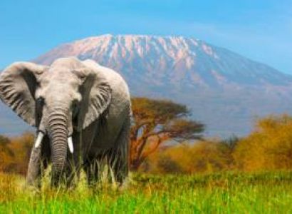 5-Day Budget Safari to Kenya