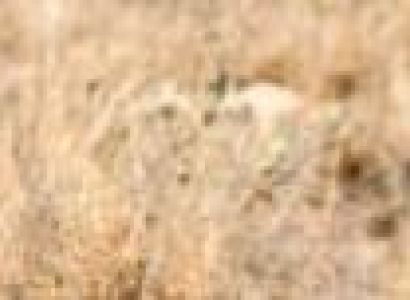 3-Day Jambo Mara Safari Lodge Shared Safari from Nairobi