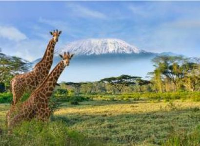 3-Day Amboseli Mid-Range Safari from Nairobi