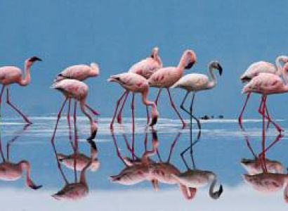 6-Day Kenya's Iconic Parks Private Safari