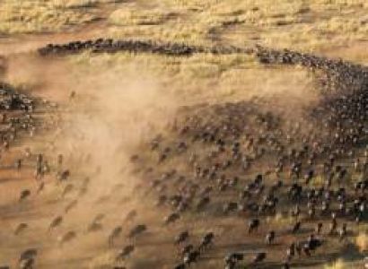 7-Day Safari Across Four Legendary Kenyan Parks