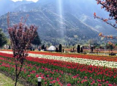Kashmir Tour Itinerary 4 Night - 5 Days