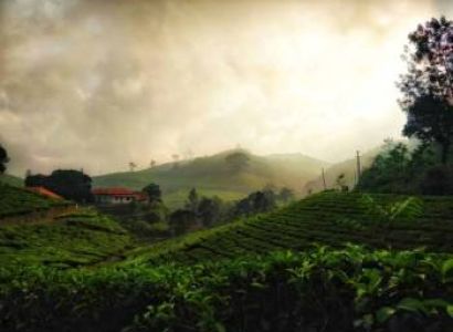 6 Days Thekkady & Alleppey & Munnar Standard Tour Package