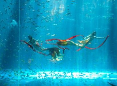 Discover Vin Wonders - Grand World - 1 Day - Join Group Tour