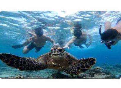 3 gili island snorkeling tour
