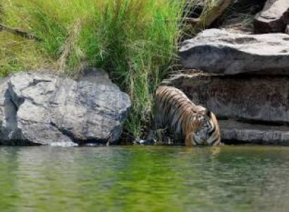Panna National Park 1N - 2D Tour