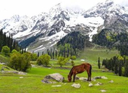 4 Days Srinagar & Pahalgam & Gulmarg Tour Package Budget