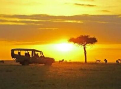 Masai Mara & Nairobi Tour Package - 5 Days Budget