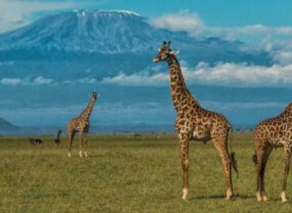Nairobi & Masai Mara 7D/6N Budget Travel Package