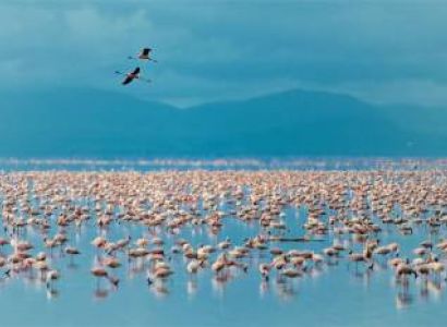 14-Day Tanzania Abundant Bird Watching Safari Tour