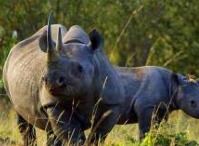 Arusha & Ngorongoro Tour Package - 6 Days Budget