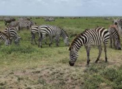 Arusha & Manyara 6D/5N Budget Travel Package