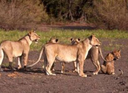 6 Days Kerala Budget Tour - Manyara & Arusha