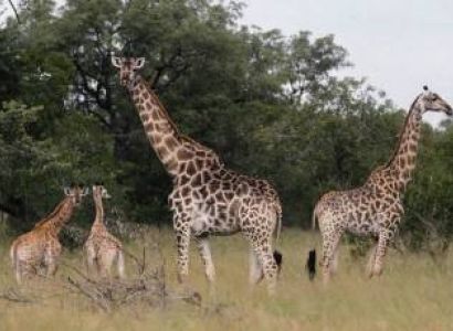 Arusha 6 Days Budget Holiday Package