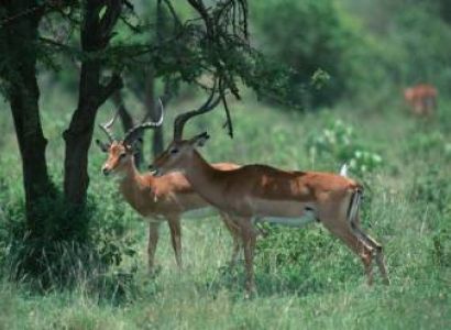 Arusha Tour Package - 6 Days Budget