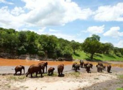 Arusha 6D/5N Budget Travel Package