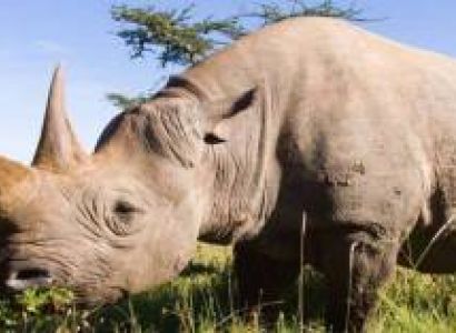 Budget Arusha Tour Package - 6 Days