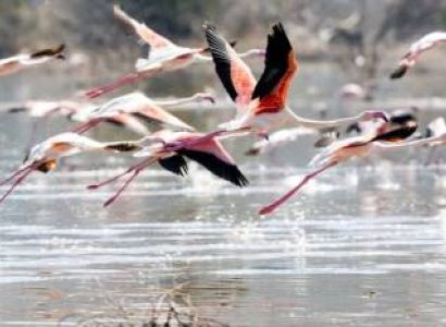 Arusha & Manyara 5 Days Budget Holiday Package