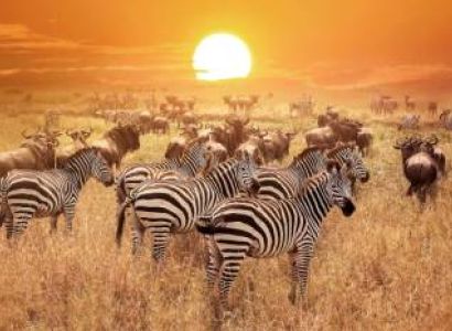 5 Days Kerala Budget Tour - Ngorongoro & Arusha