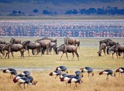 5 Days Arusha Budget Tour Package
