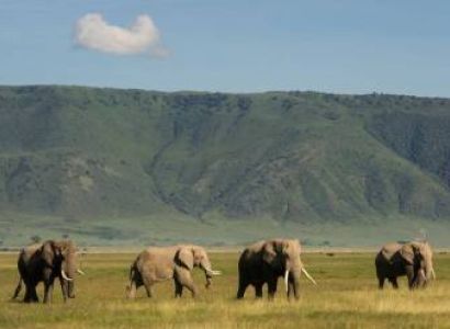 Arusha Budget Tour Package - 4 Days