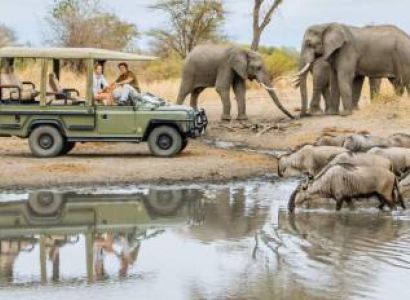 Ngorongoro & Arusha 3D/2N Budget Travel Package