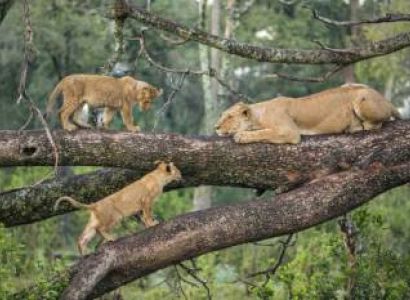 3 Days Arusha Budget Tour Package