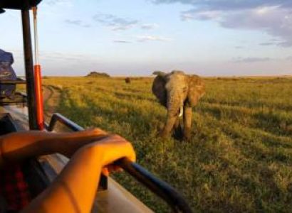4 Days Arusha Tour Package - Budget