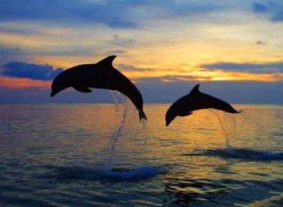 Zanzibar 5 Days Budget Holiday Package