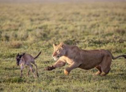 5 Days Kerala Budget Tour - Arusha