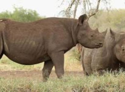 Arusha 8 Days Budget Holiday Package