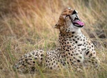 Arusha & Ngorongoro 3 Days Budget Tour Package