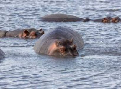 10 Days Arusha Budget Tour Package