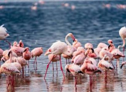Arusha 8D/7N Budget Travel Package