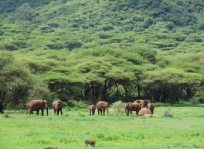 5 Days Ngorongoro & Arusha Budget Holiday