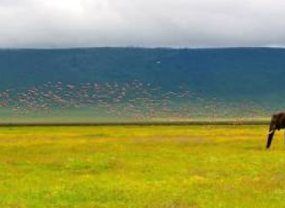 Arusha & Ngorongoro 4D/3N Budget Travel Package