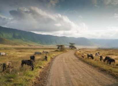 4 Days Budget Arusha & Ngorongoro Tour Package