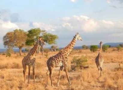 Nyerere National Park (5 Days/ 4 Nights) + Rufiji River + Maasai Village