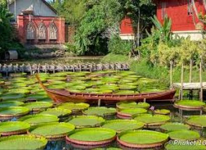 Phuket Giant Lilly Water with Phuket Old Town