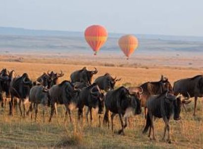 6 Days Kenya Wildlife Safari Tour – Maasai Mara, Lake Naivasha & Amboseli