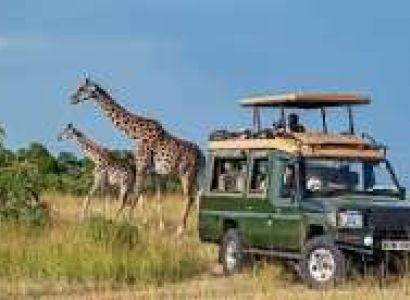 3-DAY MAASAI MARA BIG FIVE SAFARI