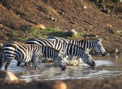 5-DAY KENYA WILDLIFE & RIFT VALLEY SAFARI