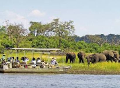 Full-Day Chobe Safari | River Cruise & Game Drive from Livingstone or Victoria Falls