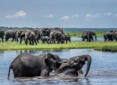 3 Days – 2 Nights Luxury Safari Package at Chobe Safari Lodge