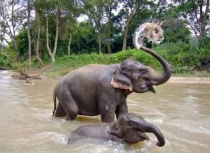 8 Days Badami & Bangalore & Hassan & Mysore & Hampi & Goa City & Hospet & Chamarajanagar Tour Package - Budget