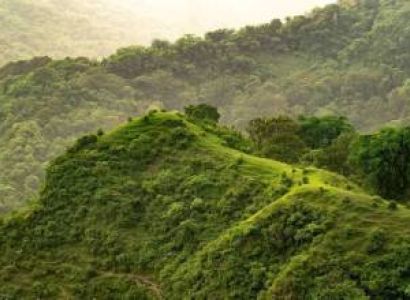6 Days Mysore & Kodaikanal & Ooty Budget Tour Package