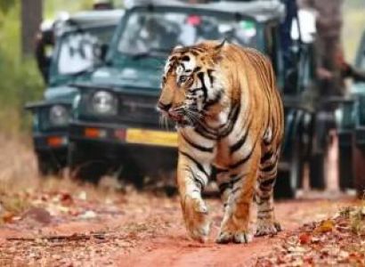 4 Days Kerala Budget Tour - New Delhi & Jaipur & Ranthambore & Sawai Madhopur & Agra