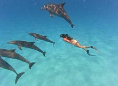 0 Days Zanzibar Tour Package - Standard